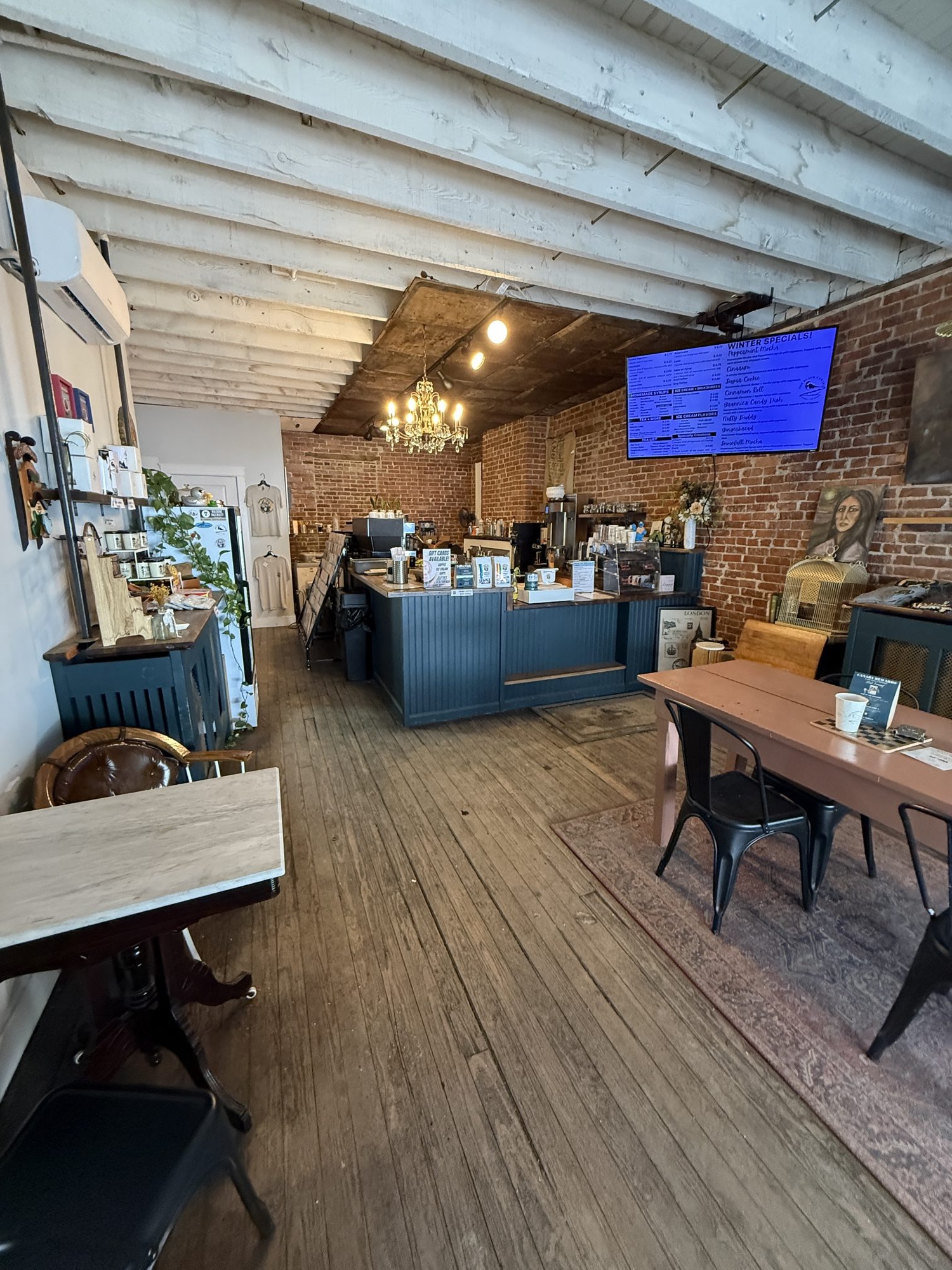 The warm, plant-filled interior of The Black Canary café